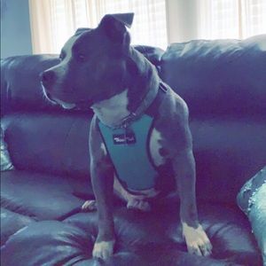 Meet your Posher, Heather